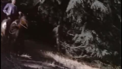 Bonanza S13E08 Face of Fear