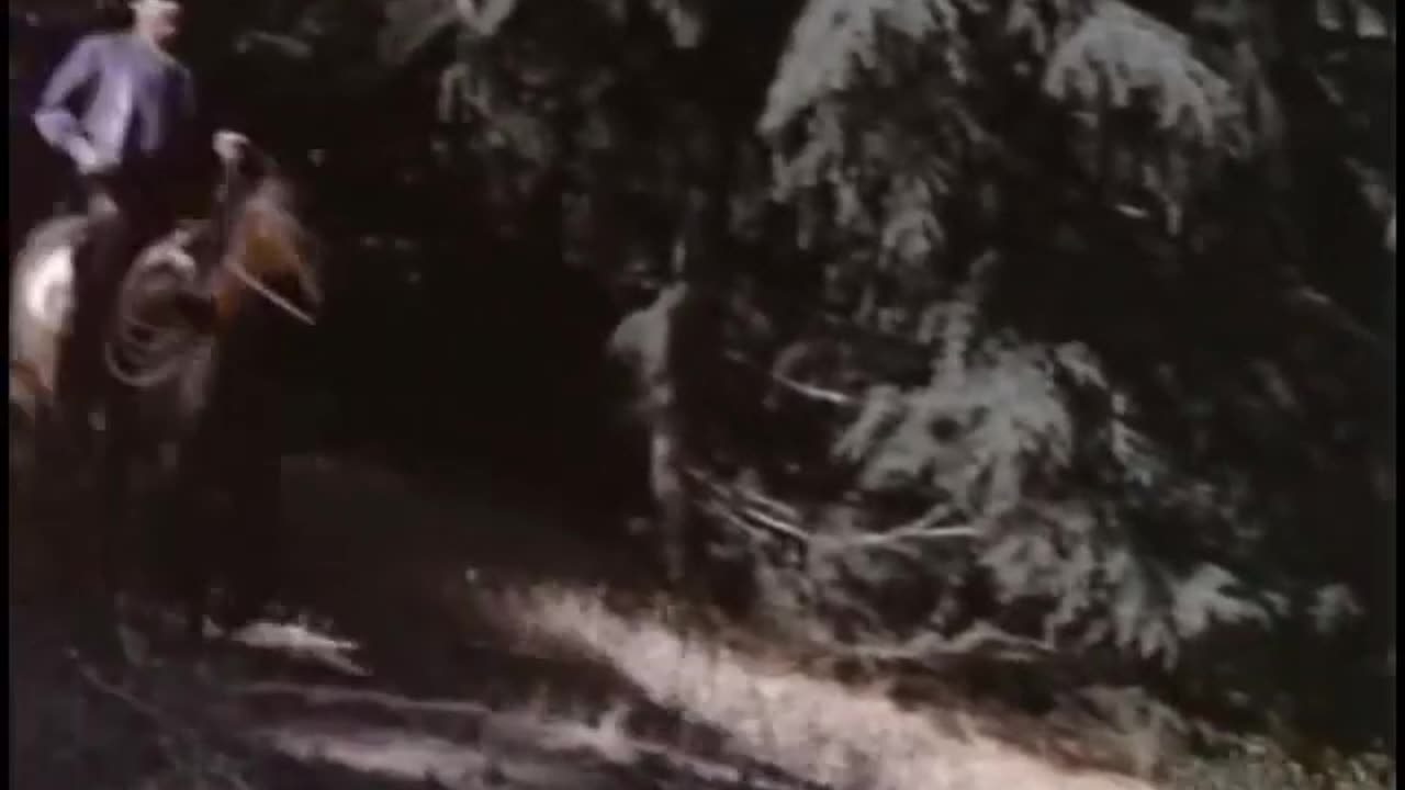 Bonanza S13E08 Face of Fear