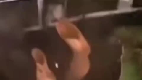 Japanese TV