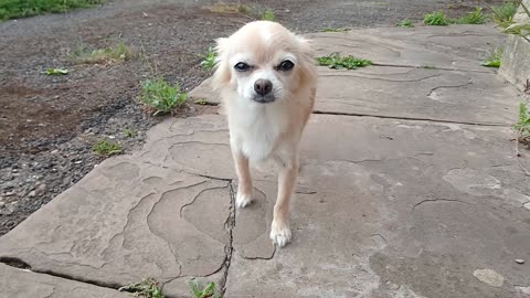 Warding actors off again