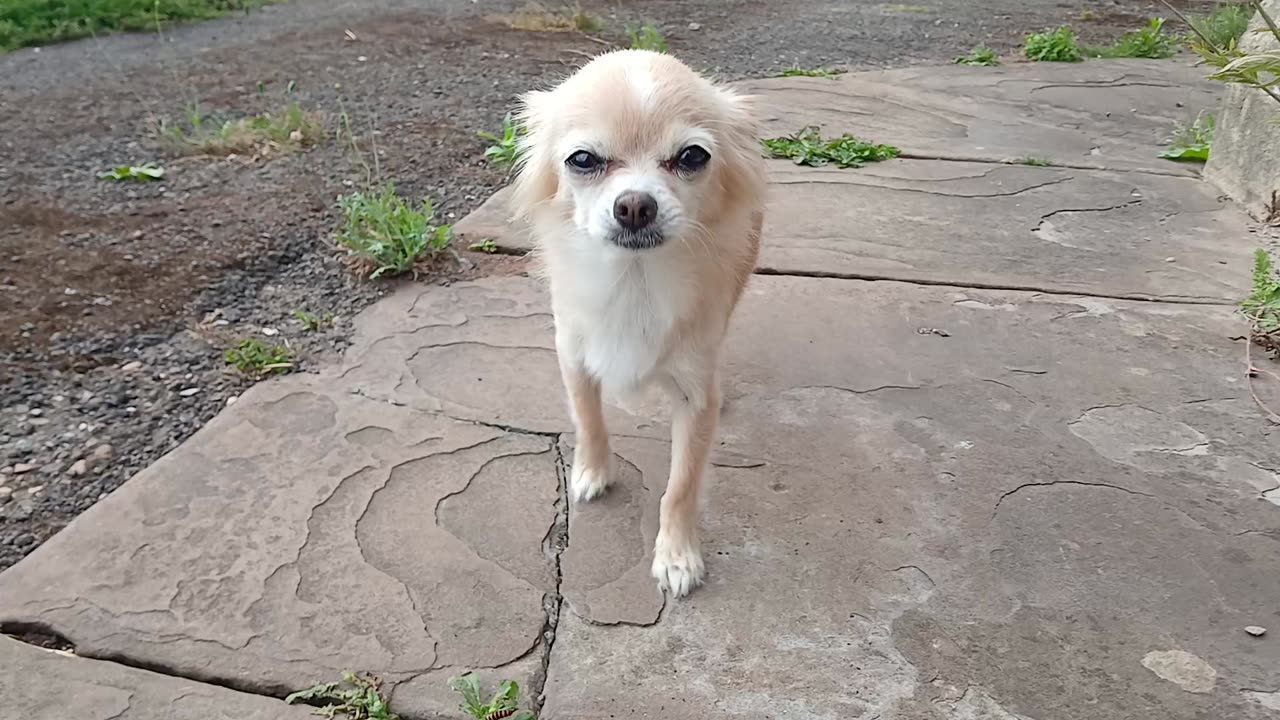 Warding actors off again