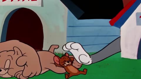 Funny Cartoon of Puppies and Mice