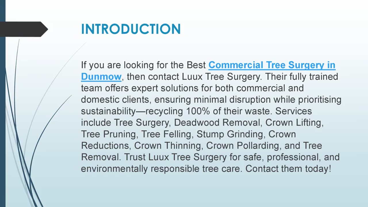 Best Tree Removal Experts in Dunmow