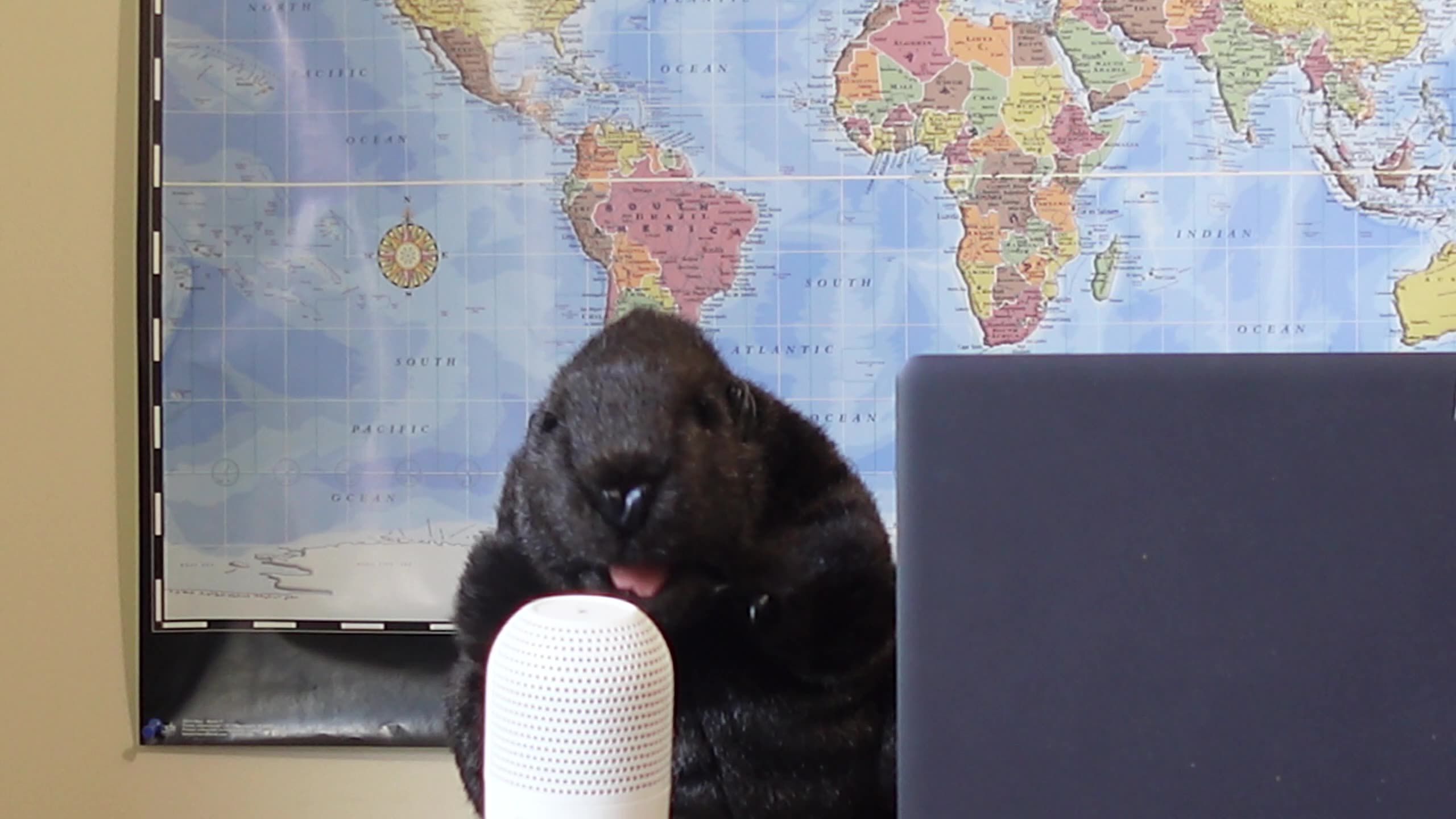 WE LOVE OUR WORKERS. Labor Day message from CGPA Puppet News