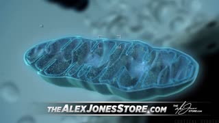 Alex Jones Show 24/7