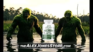 Alex Jones Show 24/7