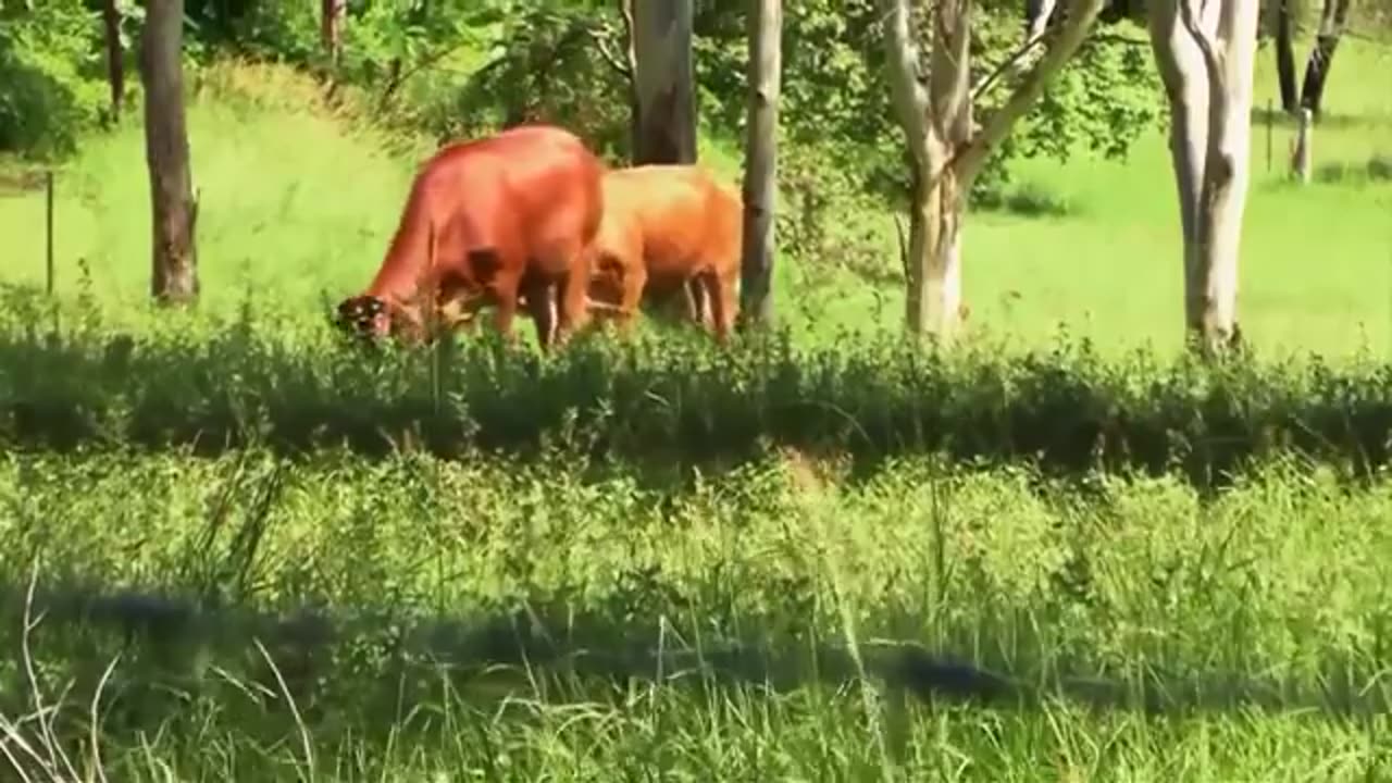 ŻYCIE W ILUZJI KTO DECYDUJE ZA CIEBIE ?