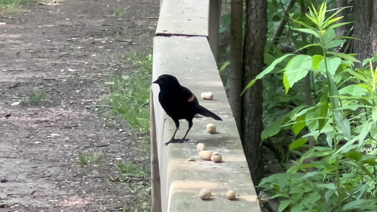 Park visit June 9th