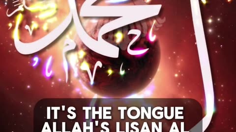 The Light of Muhammadun Rasulullah ﷺ Noon wal Qalam