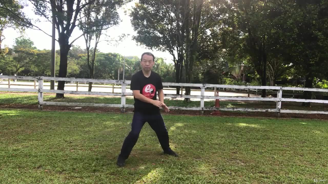 Aerobic Tai Chi Workout - 010 Turn Back and Pound Palm with Fist.mp4