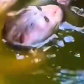 Monkey enjoying the sun 🐒| monkey video | animal video