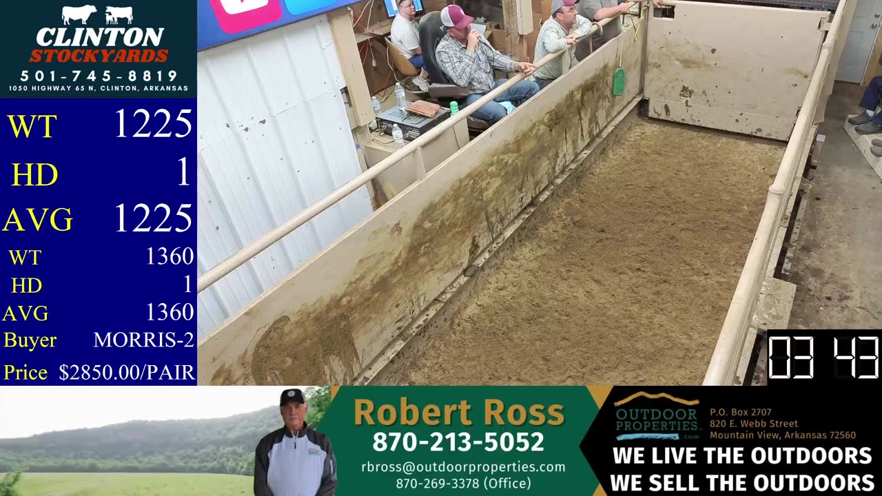 4/26/2025 - Cattle Auction - Clinton Stockyards