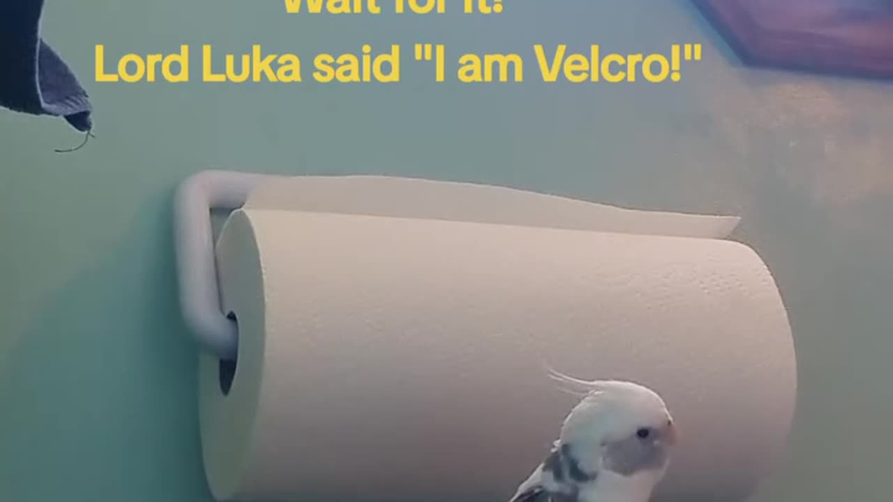 Lord Luka