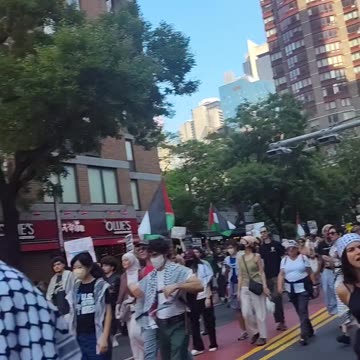 This is what New Yorkers think about Palestine, Donald Trump and ICE.
