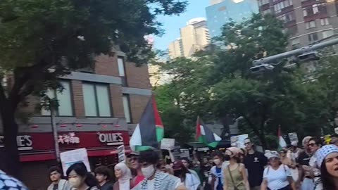 This is what New Yorkers think about Palestine, Donald Trump and ICE.