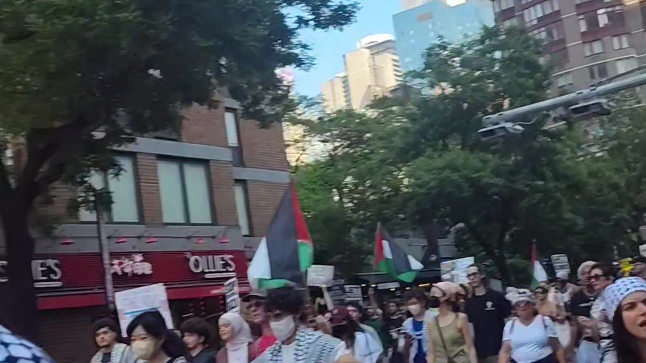 This is what New Yorkers think about Palestine, Donald Trump and ICE.