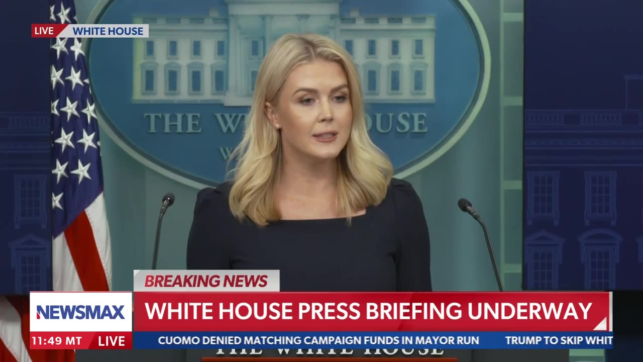 'Abuse of power': Karoline Leavitt grilled over Trump retaliation