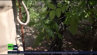 RT DE Live-TV