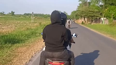 On the Road: Motorbike Adventure