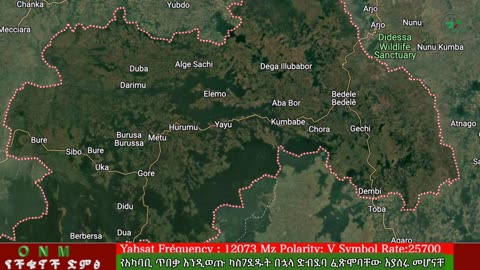 ግንቦት 23-2025 ONM-ABO እለታዊ የኦሮሞ ነፃነት ሰራዊትና የኦሮሚያ ውሎ!