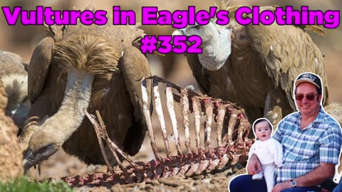 Vultures in Eagle's Clothing #352 - Bill Cooper