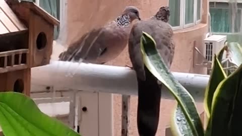 Marking Safe on Super Typhoon Ragasa!