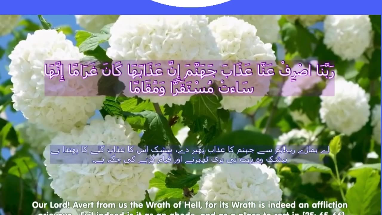 40 Rabbana Duas (Dua no 31)