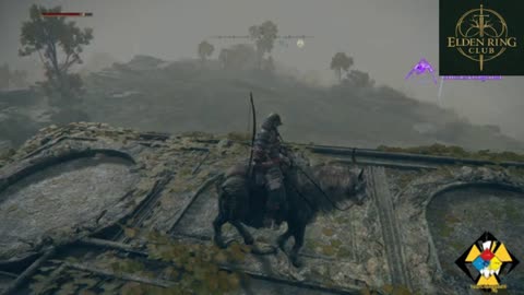 I Got Attacked While Looking at the Map in Elden Ring