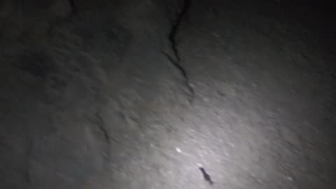 Very dark shot of the pond is...VERY DARK!