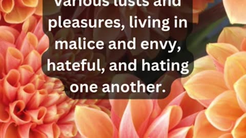 Journey of faith and spiritual growth Titus 3:3 Daily Bible Verse