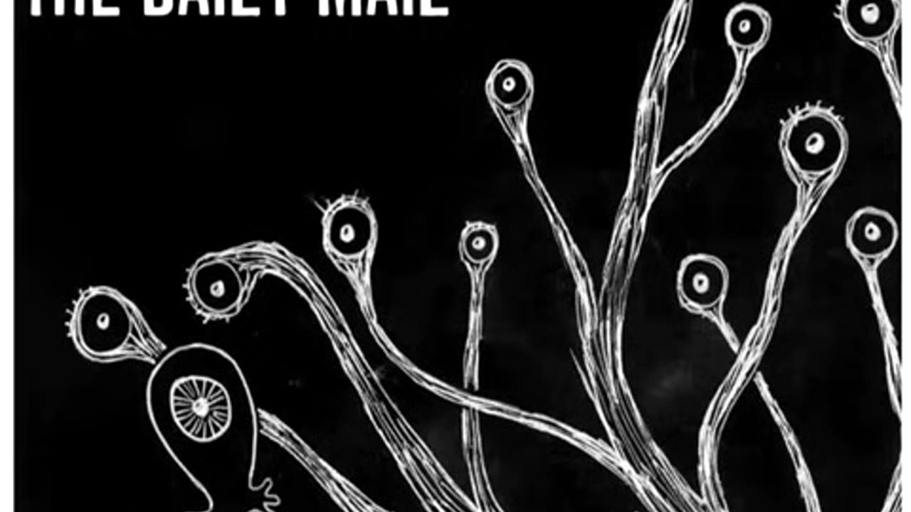 Radiohead - The Daily Mail