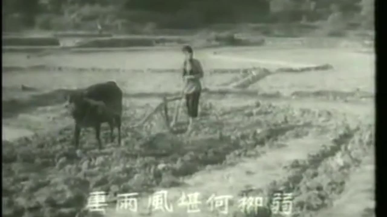 小媳婦