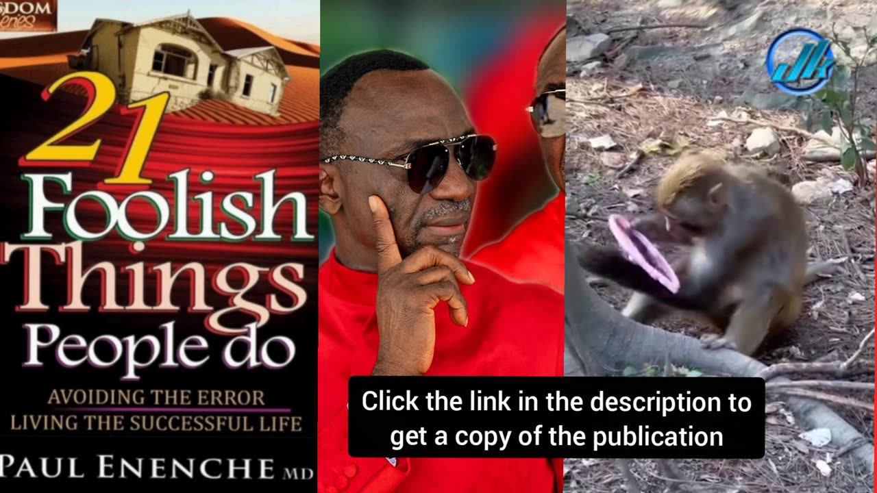 21 foolish things Zoological Republic do in the animal kingdom