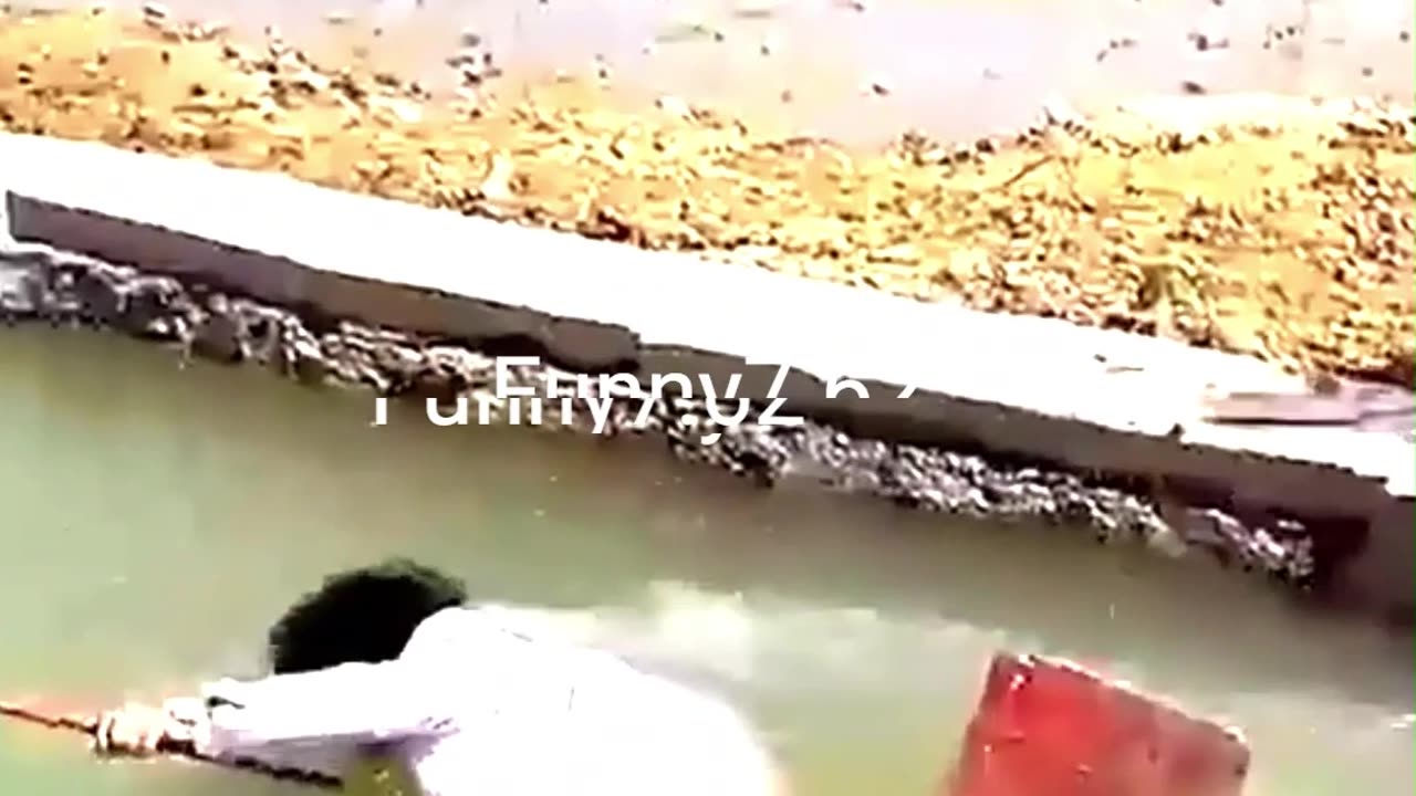 Funny Moments #funny #moments