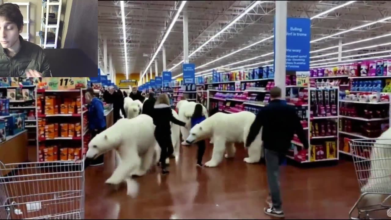 Over 5 Fictitious Polar Bears Roam Around A Walmart Supercenter Fake Strange Video