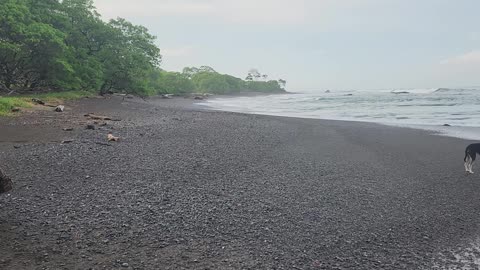 Beach walk