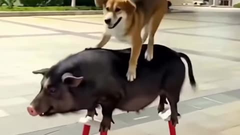 Puppy AI