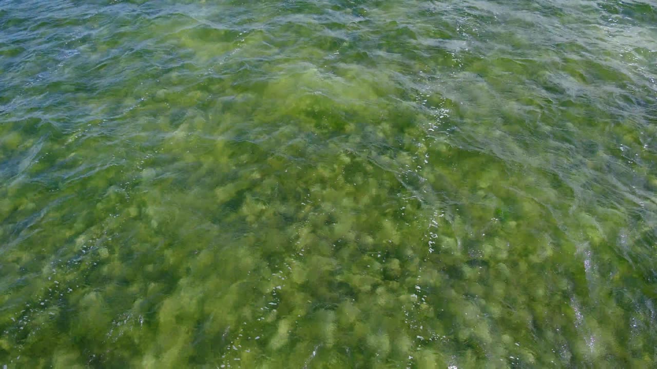 Baltic Sea Colors [Velvia]
