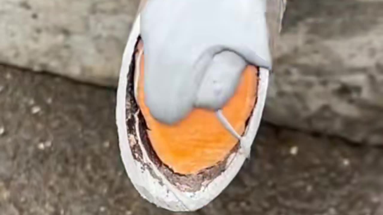 ✨🤔 This 9-Second Trick Will Change How You Fold Clothes Forever! | LifeHacksDaily