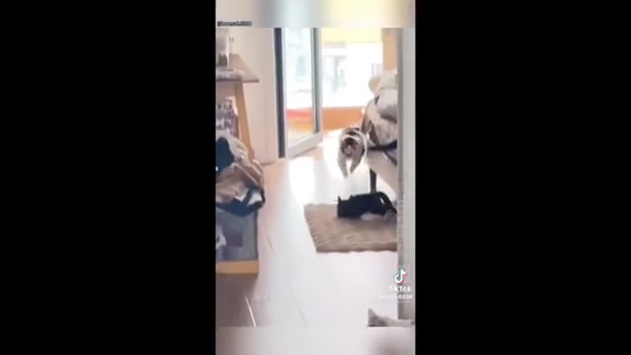 Need a laugh here and there ;)