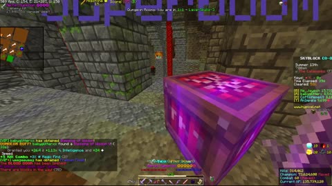 Skyblock FLOOR 7 [#2201]