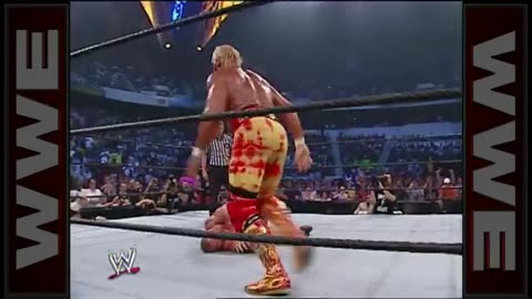 Hulk Hogan Death and His Last Fight