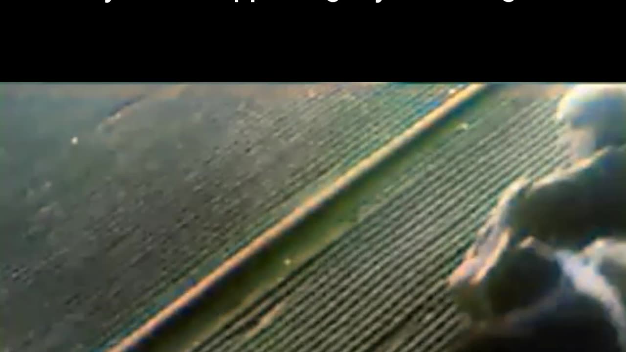 WW2 Soviet Paratroopers — Before the Storm #ColourisedHistory