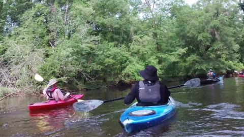 Black River