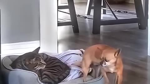 He was just sneaking in