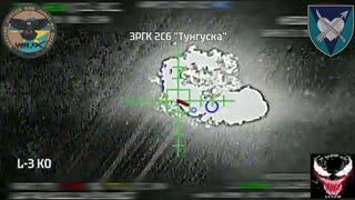 🔥 Destruction of Russian 2S6 Tunguska system on the left bank of the Kherson region!