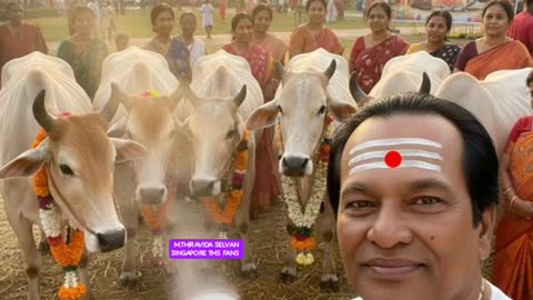 ONE SUN ONE TMS LEGEND M.THIRAVIDA SELVAN SINGAPORE TMS FANS 1026