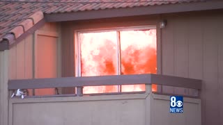 Cat Takes Advice From Crowd And Jumps From Burning Building