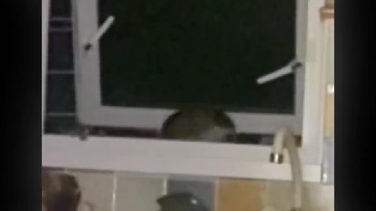 👻Creature Caught Climbing Through Kitchen Window! | TheHauntingHour