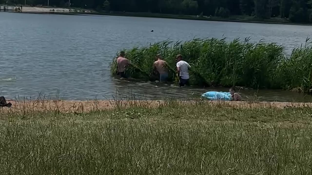 Guys Move a Floating Patch of Foliage